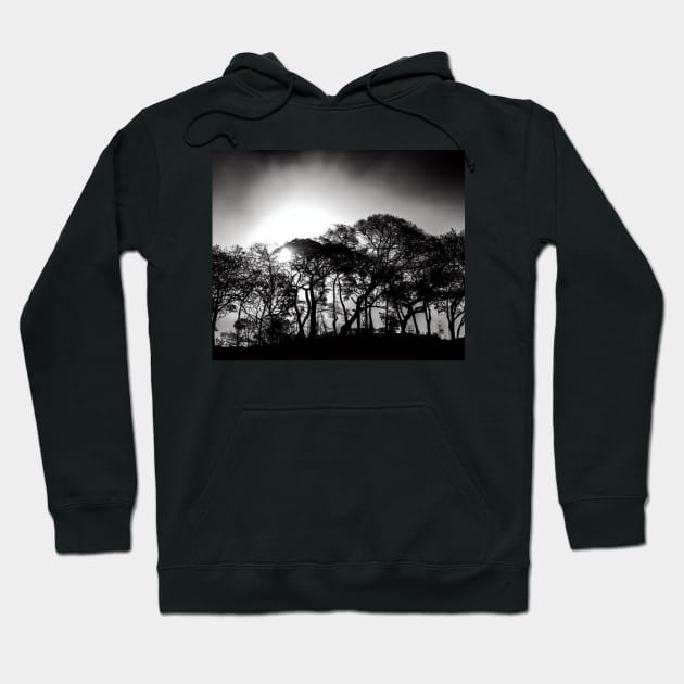 Sunbeam Through Trees Silhouette Hoodie by vk09design